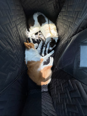 Cybertruck Pet Cover for Dogs - Cybertruck Pet Liner - Urander