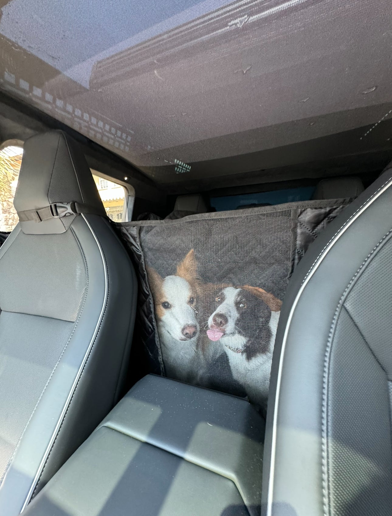 Cybertruck Pet Cover for Dogs - Cybertruck Pet Liner - Urander