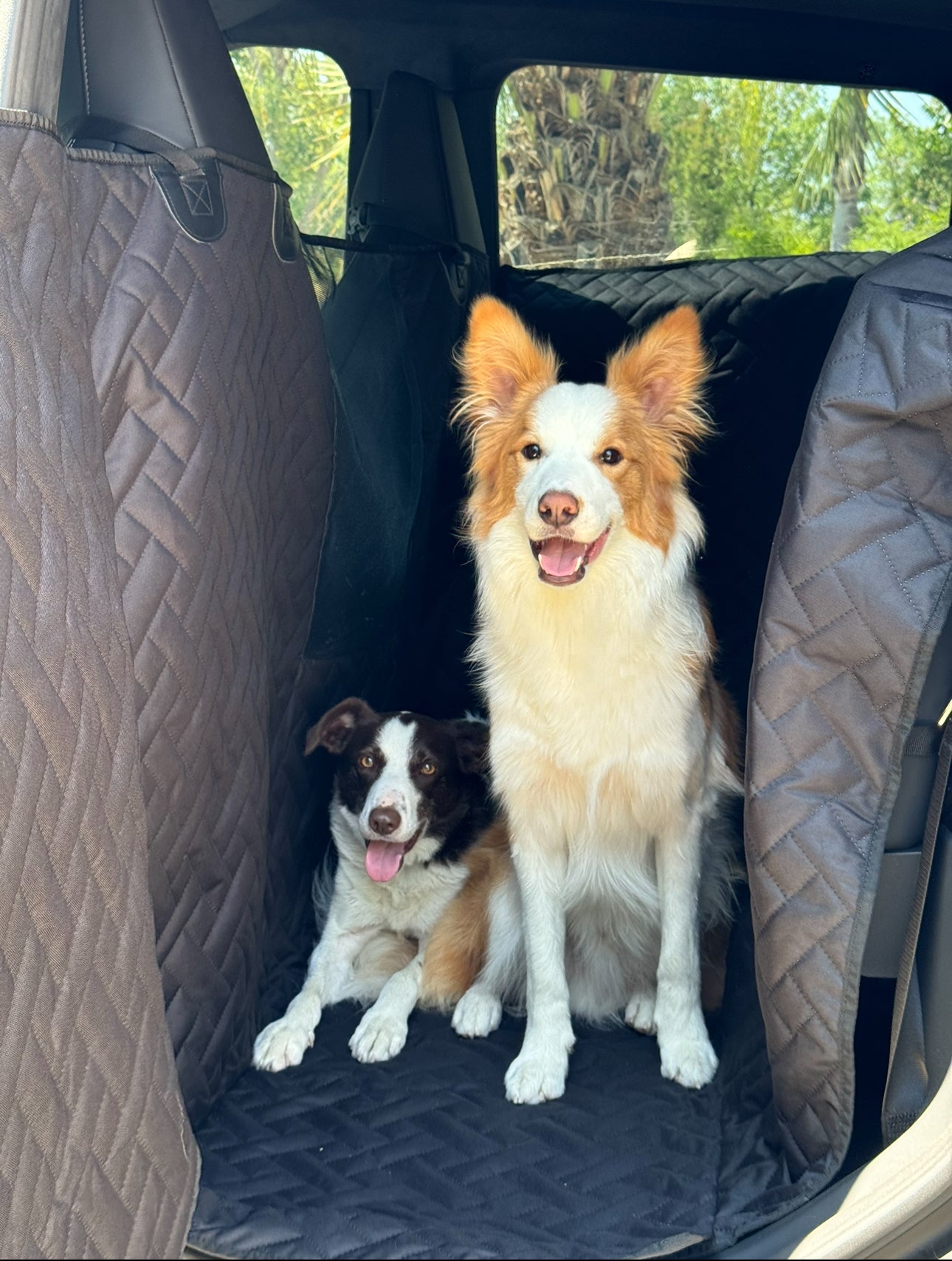 Cybertruck Pet Cover for Dogs - Cybertruck Pet Liner - Urander